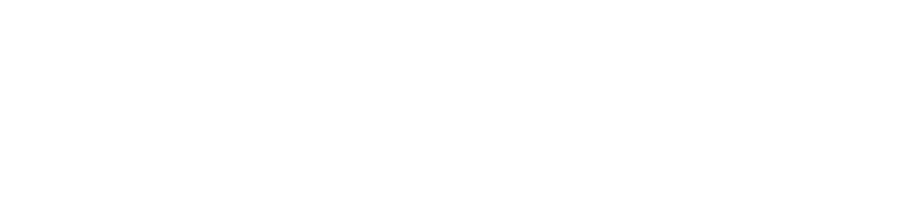 The Hayes Group